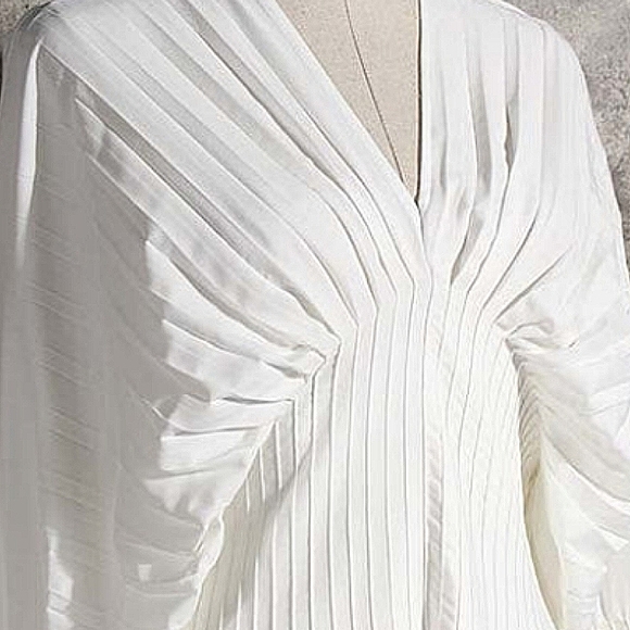 D.H. GATE Pleated Long Sleeve Blouse - Picture 3 of 8